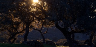 Amanecer-monte-mediterraneo-Andujar