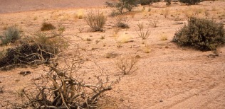 Desierto-del-Namib-Namibia