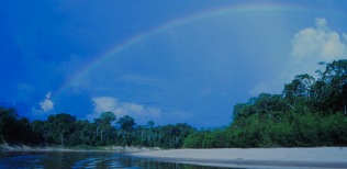 Itacoai-river-amazon-Brasil