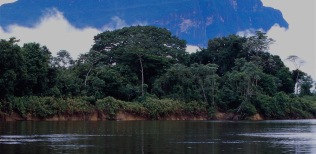 La-esmeralda-Amazon.-Venezuela