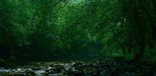 Valle-del-Truvia-Asturias