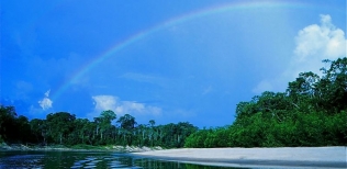 Selva y arco iris